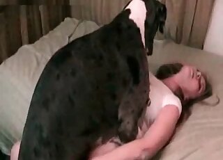 Хозяйка прибалдела от зоосекса с собакой